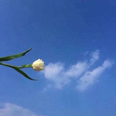 九伐中原破解版下载