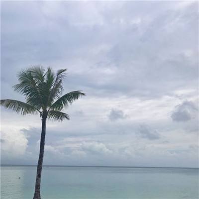 疯狂战车手游九游版下载