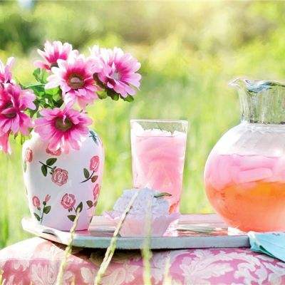 凤凰心计手游vivo版下载